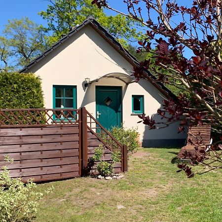 „Rentmeisterhaus Basedow“ Basedow (Mecklenburg-Vorpommern) Exterior foto