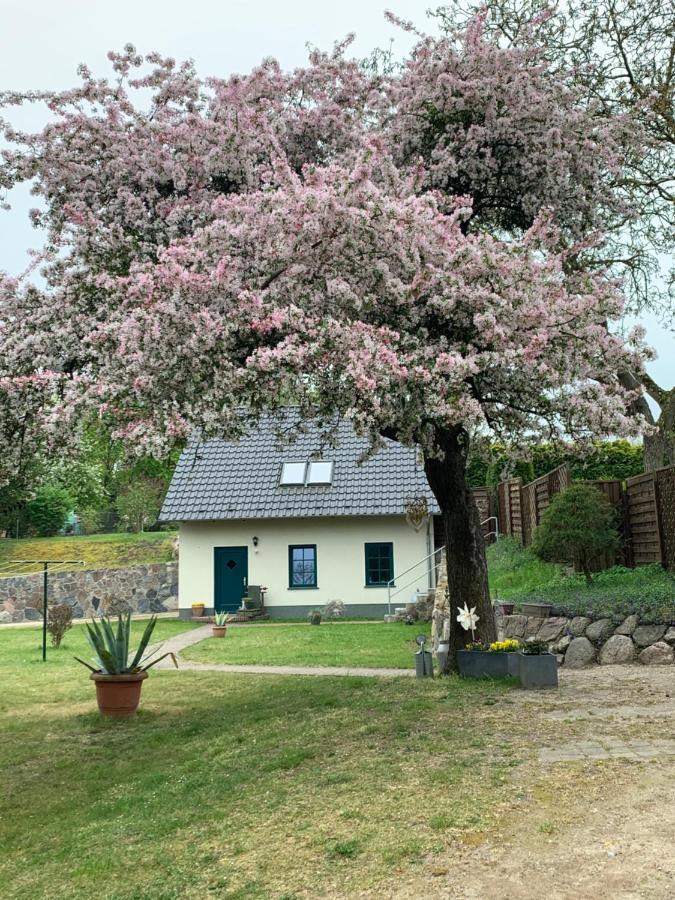 „Rentmeisterhaus Basedow“ Basedow (Mecklenburg-Vorpommern) Exterior foto
